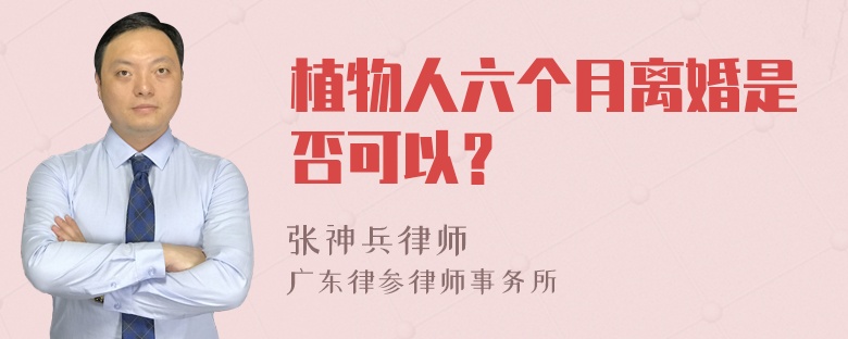 植物人六个月离婚是否可以？