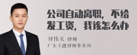 公司自动离职，不给发工资，我该怎么办