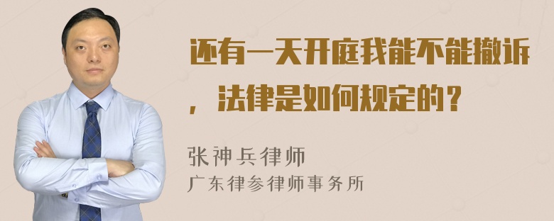 还有一天开庭我能不能撤诉，法律是如何规定的？