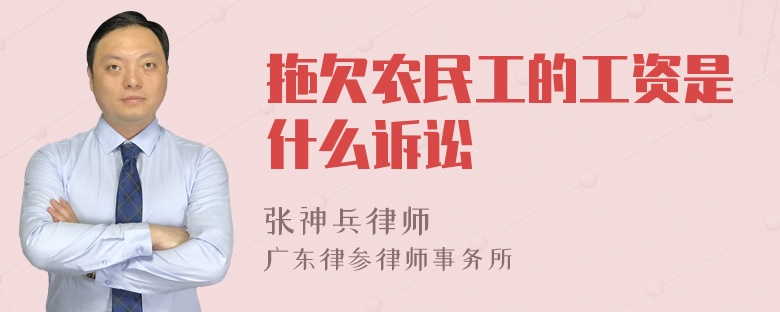 拖欠农民工的工资是什么诉讼