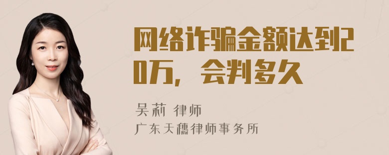 网络诈骗金额达到20万，会判多久