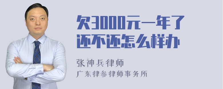 欠3000元一年了还不还怎么样办