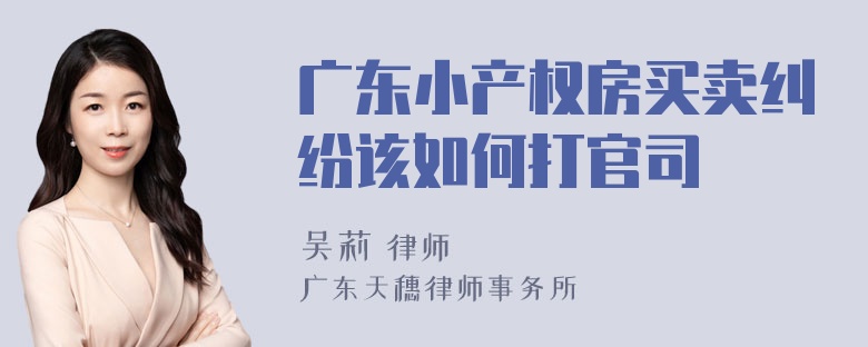 广东小产权房买卖纠纷该如何打官司