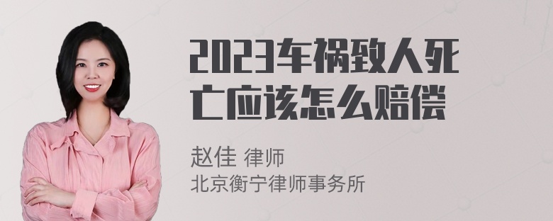 2023车祸致人死亡应该怎么赔偿