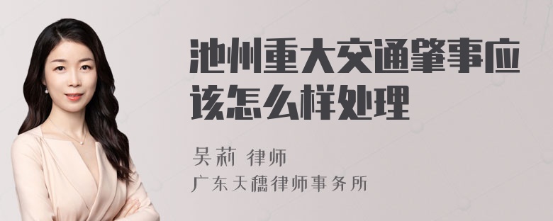 池州重大交通肇事应该怎么样处理