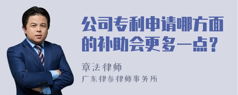 公司专利申请哪方面的补助会更多一点？