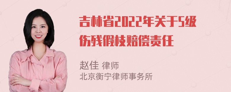 吉林省2022年关于5级伤残假枝赔偿责任