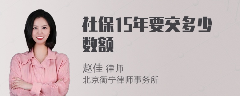 社保15年要交多少数额