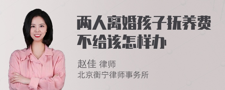 两人离婚孩子抚养费不给该怎样办
