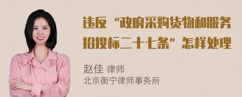 违反“政府采购货物和服务招投标二十七条”怎样处理