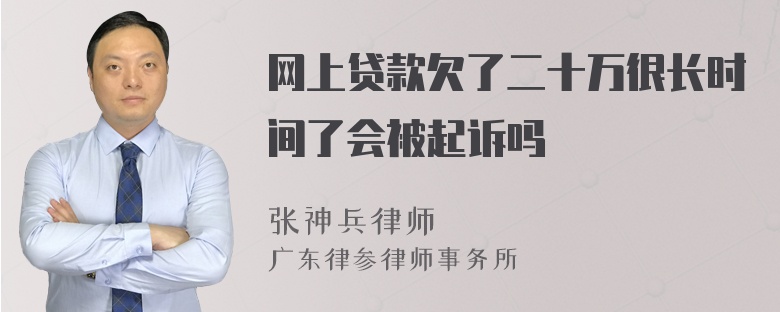 网上贷款欠了二十万很长时间了会被起诉吗