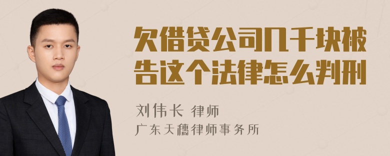 欠借贷公司几千块被告这个法律怎么判刑