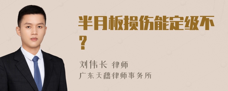 半月板损伤能定级不？