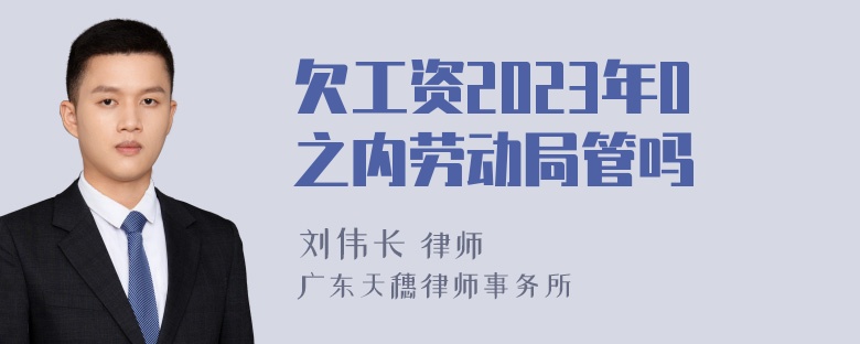 欠工资2023年0之内劳动局管吗