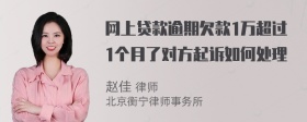 网上贷款逾期欠款1万超过1个月了对方起诉如何处理