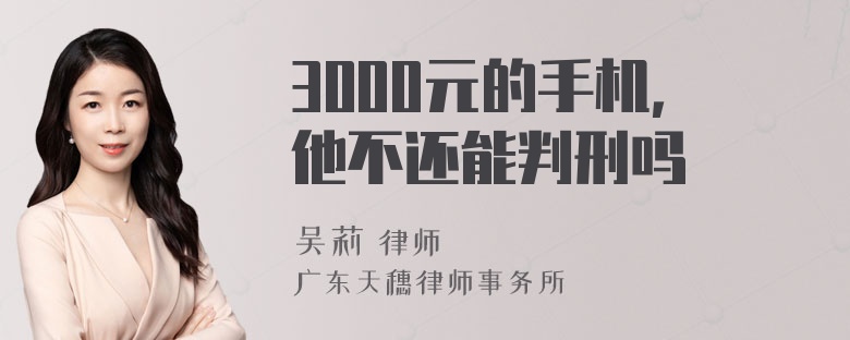 3000元的手机，他不还能判刑吗