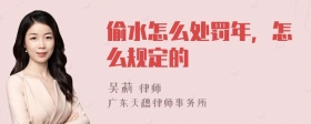 偷水怎么处罚年，怎么规定的