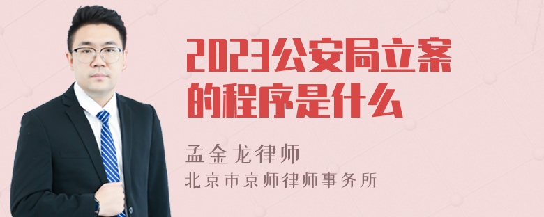 2023公安局立案的程序是什么