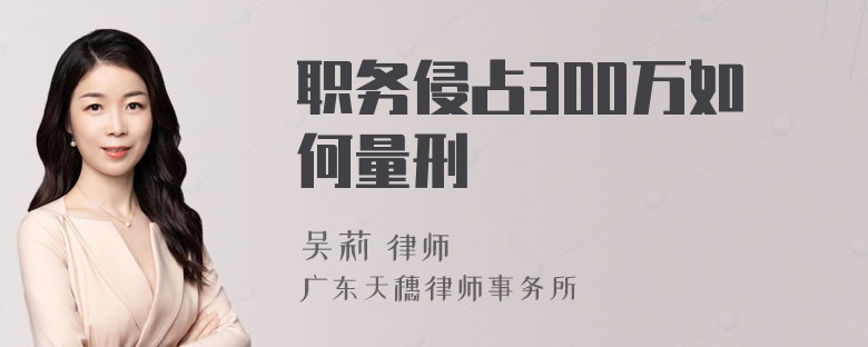 职务侵占300万如何量刑