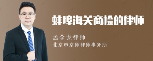 蚌埠海关商检的律师