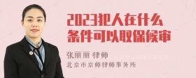 2023犯人在什么条件可以取保候审