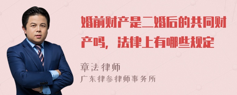 婚前财产是二婚后的共同财产吗，法律上有哪些规定