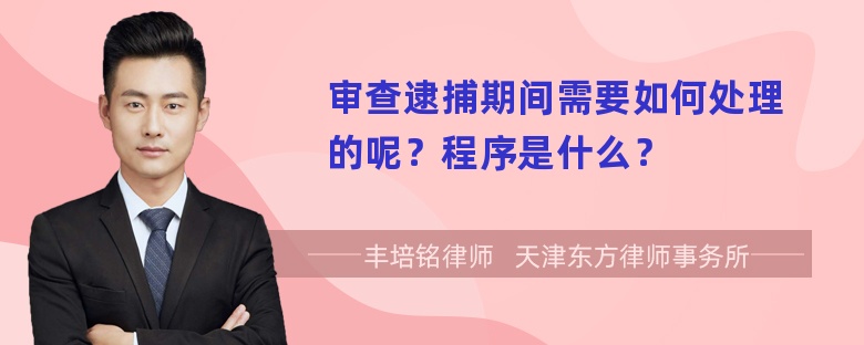 审查逮捕期间需要如何处理的呢？程序是什么？