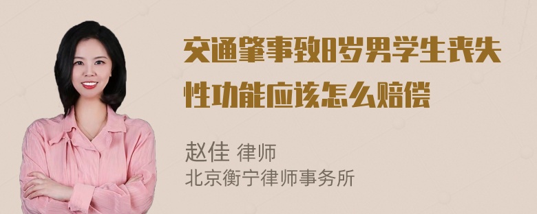 交通肇事致8岁男学生丧失性功能应该怎么赔偿