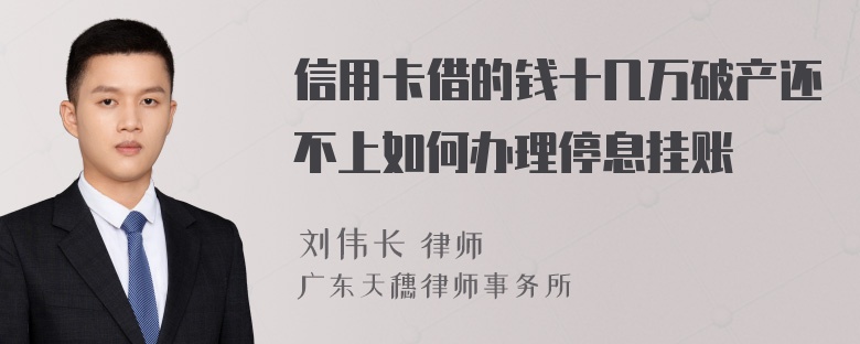 信用卡借的钱十几万破产还不上如何办理停息挂账