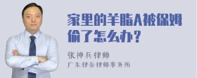 家里的羊脂A被保姆偷了怎么办？