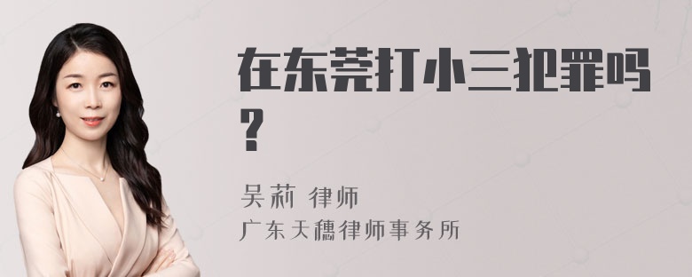 在东莞打小三犯罪吗？