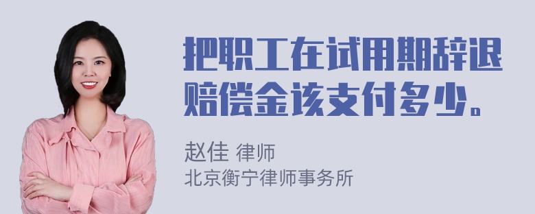 把职工在试用期辞退赔偿金该支付多少。