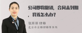 公司即将撤销，合同未到期，我该怎么办？