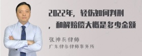 2022年，轻伤如何判刑，和解赔偿大概是多少金额