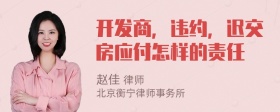 开发商，违约，迟交房应付怎样的责任