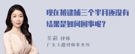 现在被逮捕三个半月还没有结果是如何回事呢？