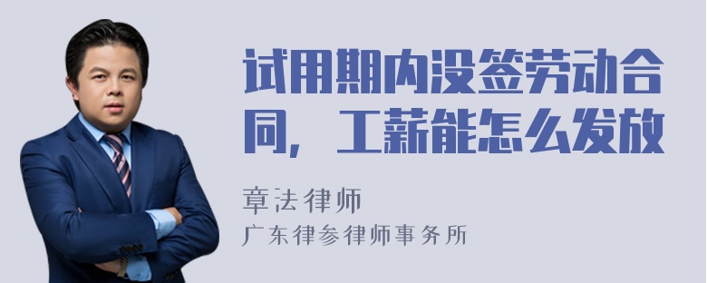 试用期内没签劳动合同，工薪能怎么发放