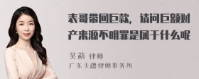 表哥带回巨款，请问巨额财产来源不明罪是属于什么呢