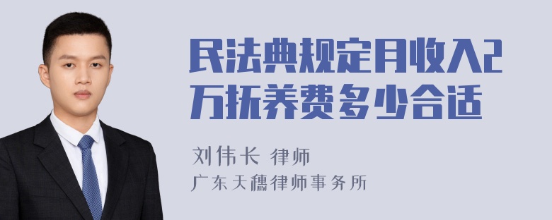 民法典规定月收入2万抚养费多少合适