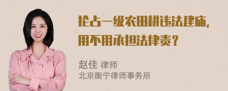 抡占一级农田耕违法建庙，用不用承担法律责？