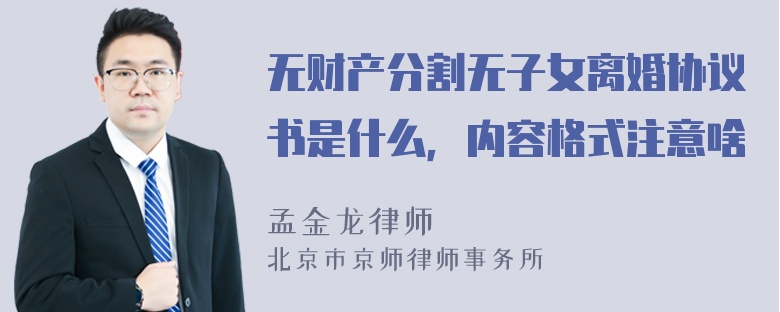 无财产分割无子女离婚协议书是什么，内容格式注意啥