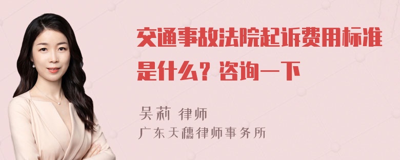 交通事故法院起诉费用标准是什么？咨询一下