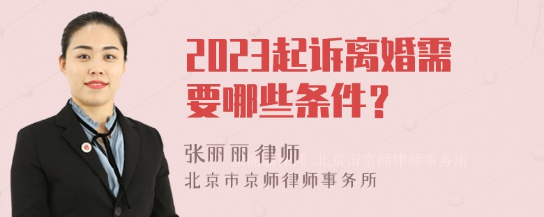 2023起诉离婚需要哪些条件？