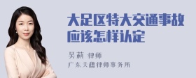 大足区特大交通事故应该怎样认定