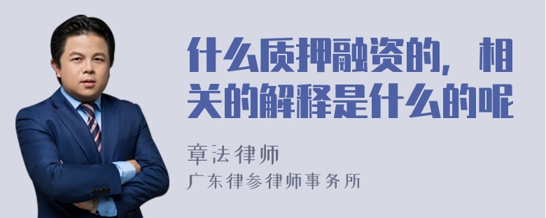 什么质押融资的，相关的解释是什么的呢