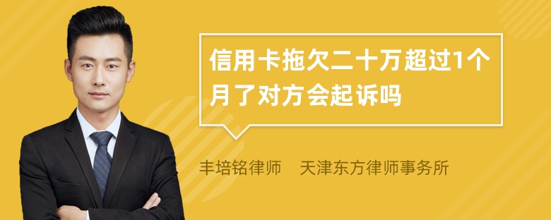 信用卡拖欠二十万超过1个月了对方会起诉吗