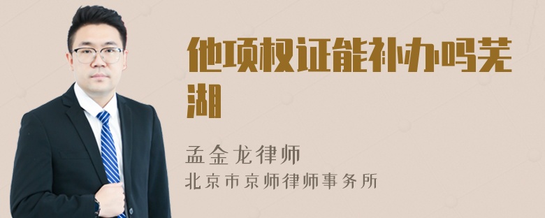 他项权证能补办吗芜湖