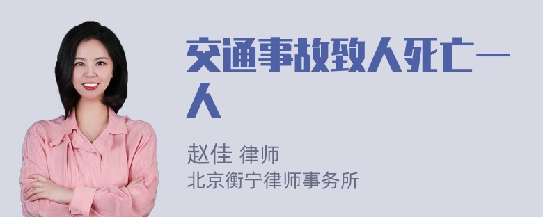 交通事故致人死亡一人