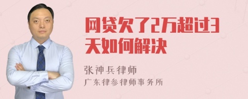 网贷欠了2万超过3天如何解决