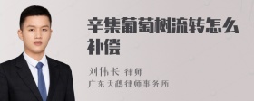 辛集葡萄树流转怎么补偿